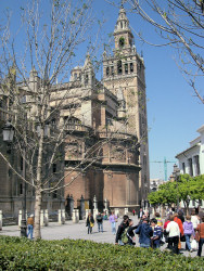 El alumnado del 'Molinillo Viejo' de Porcuna de excursión por Sevilla